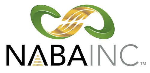 National Association of Black Accountants